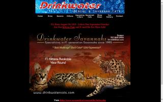 Drinkwater Cattery