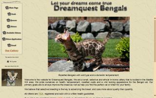 Dreamquest Bengals