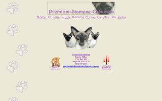 Premium Siamese Cats