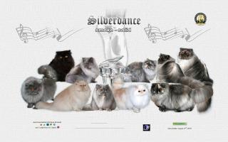 Silverdance Persians