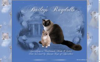 Bailey's Ragdolls