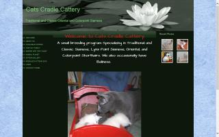 Cats Cradle Cattery