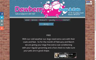 Dewberry Dogs  & Cats