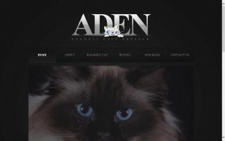 Aden Ragdoll Cats Breeder